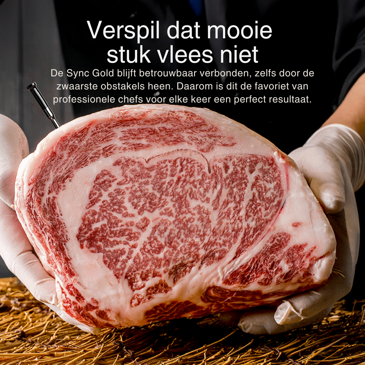 Typhur Sync Gold Quad